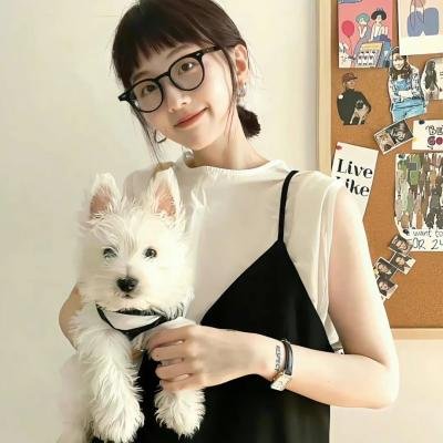 第12届中国电影华表奖